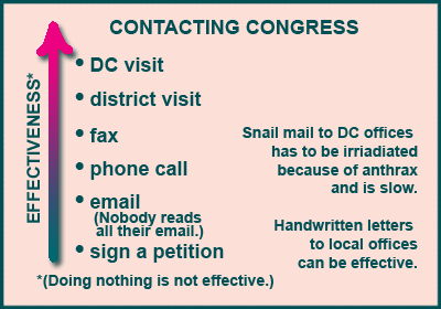 contact_congres_chart